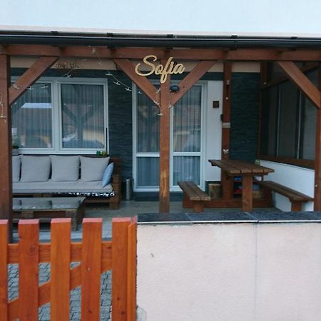 Apartman Sofia เวลคี สลาวโคว์ ภายนอก รูปภาพ